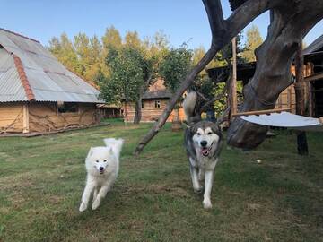 Фото номера Дом с 2 спальнями Дома для отпуска Экоусадьба Старки г. Byalynichy 117